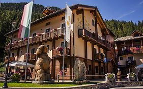 Boton D'or & Wellness A